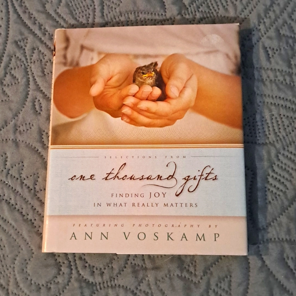 Ann voskamp one thousand gifts